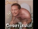 a szóviccek mestere