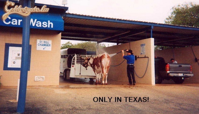 Texas!!