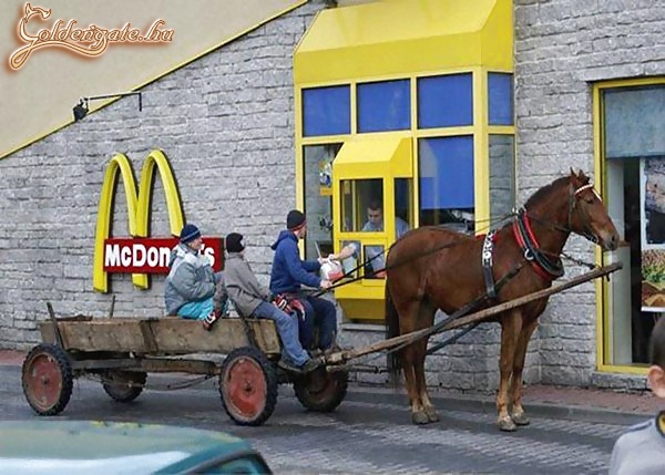 Vidéki Mcdonalds