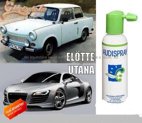 Audi spray