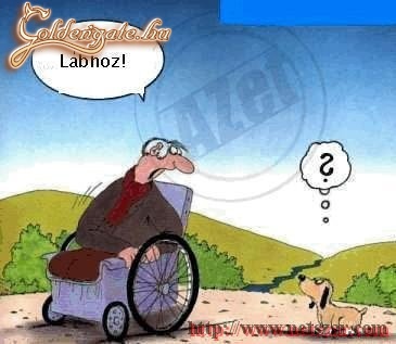 kommunikációs zavar