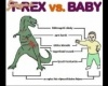 t-rex vs baby