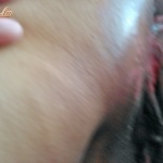 új, latin-amerikai punana - 7. kép