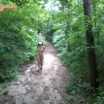 egy kis válogatás - 26. kép