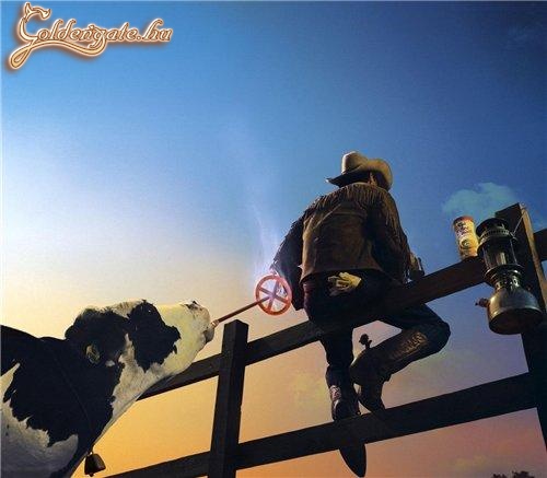 Amikor a fagyi visszanyal