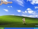 Windows gay