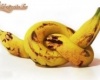 Hibrid banán