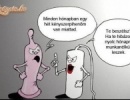 gumi és tampon beszélgetnek