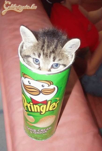Cuki
