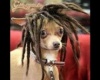 Rasta blöki