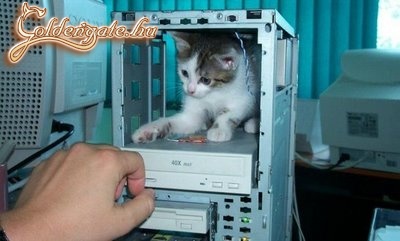 PC guru