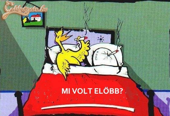 Mi volt elöbb?