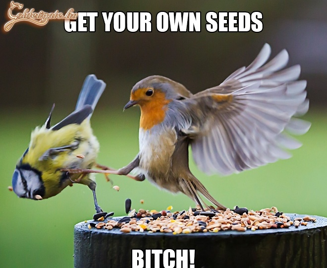 This is Sparta!