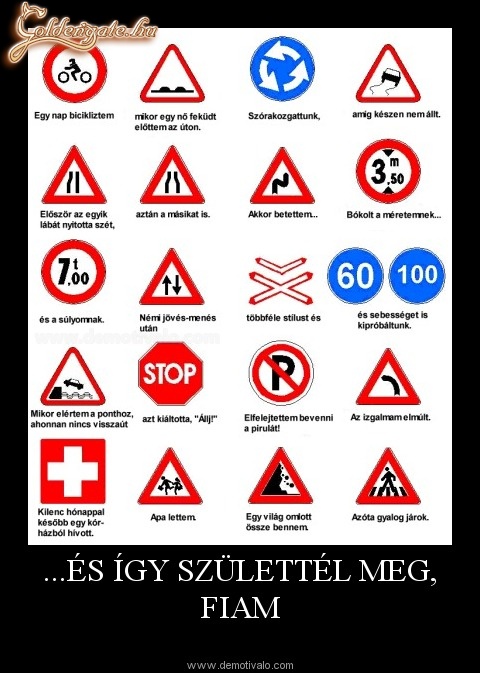 Így születtél