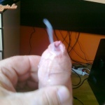 Goldengaten Nézelődtem - 3. kép