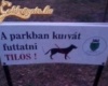 Parki tilalom