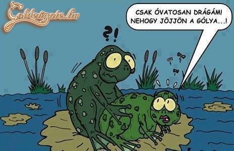 Csak óvatosan