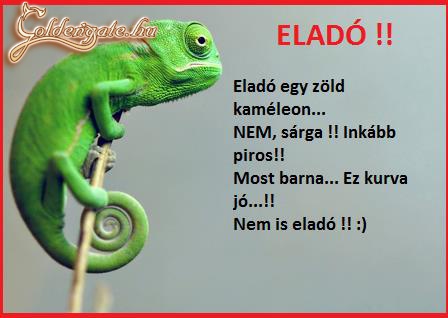 Eladó