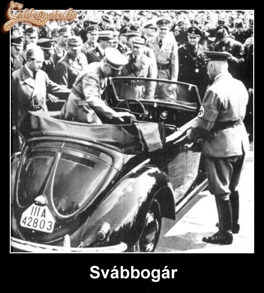 Svábbogár