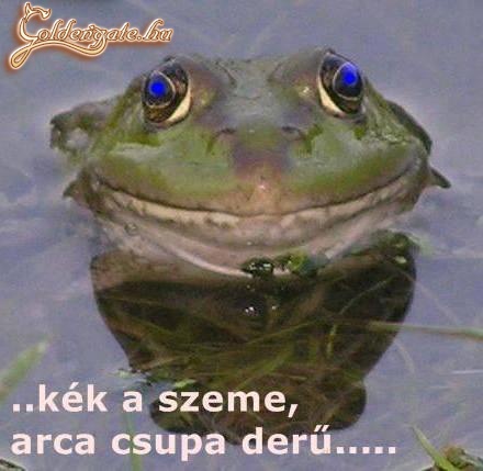 Kék a szeme........