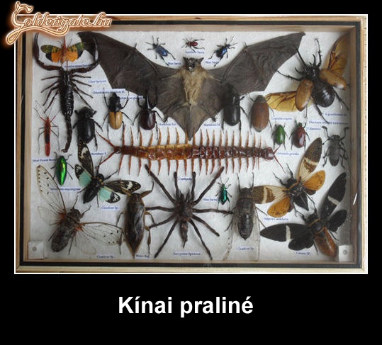 Praliné