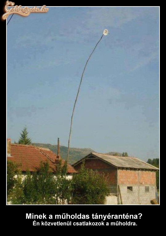 Tányérantenna