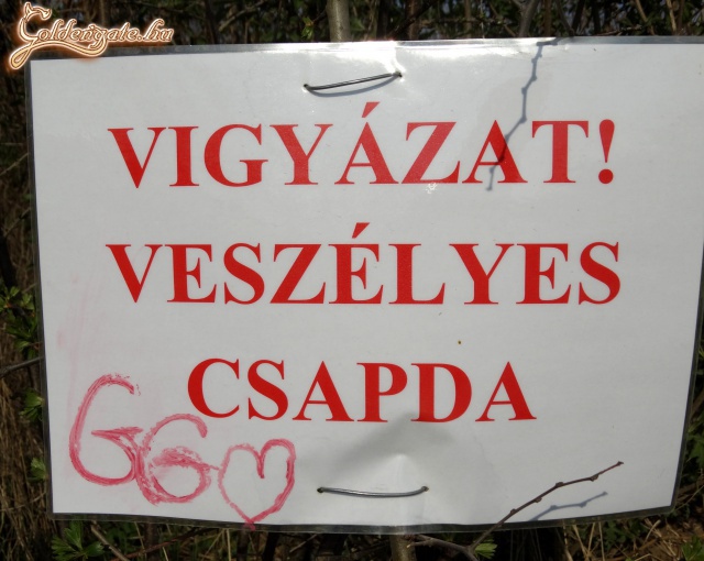 A vadászat - 63. kép