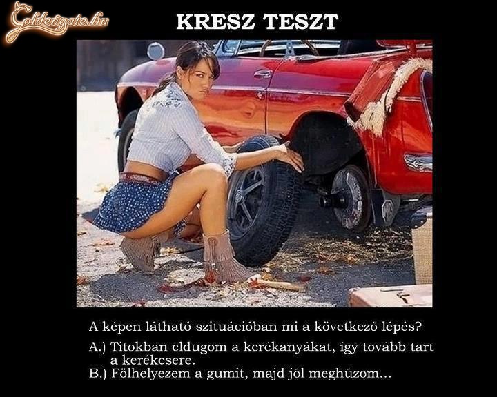 Kresz-teszt