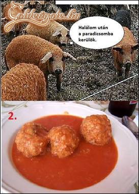 Paradicsom!