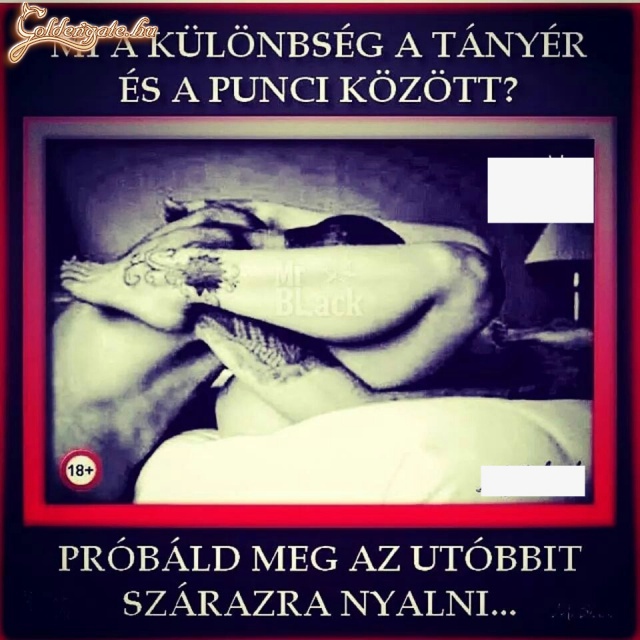Mi a különbség?