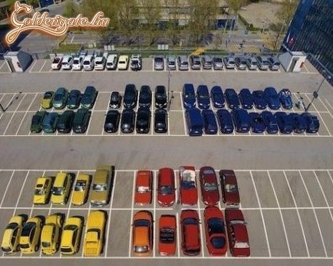 parkolási rend