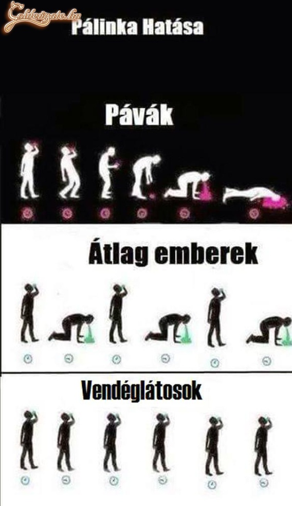 típusok