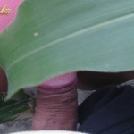 Mi nem kukoricázunk! :) - 7. kép