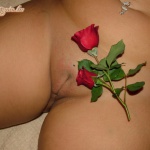 REDROSE 