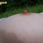 Nyári emlék - 16. kép