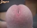 - 1. kép