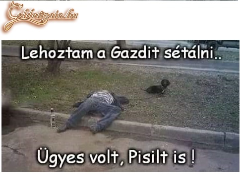 Séta!