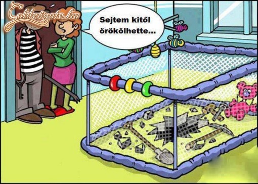 Betörőéknél