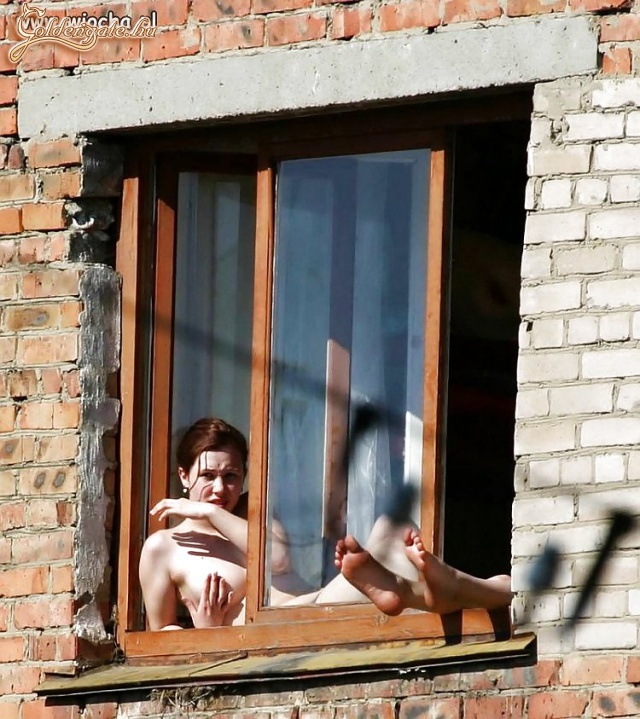 Dryvitra gyűjtenek
