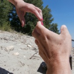 Kincses sziget - 32. kép