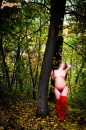 Őszi erdőben - 4. kép