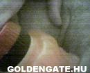 GoldenGate-archív 369. sorozata - 10. kép