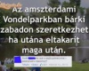 Lehetőség!