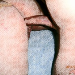 Munkanap méltó befelyezése - 27. kép