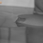 toratoratora 25. sorozata - 52. kép