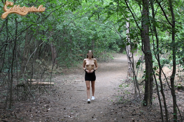 Erdei séta és tornapálya - 16. kép