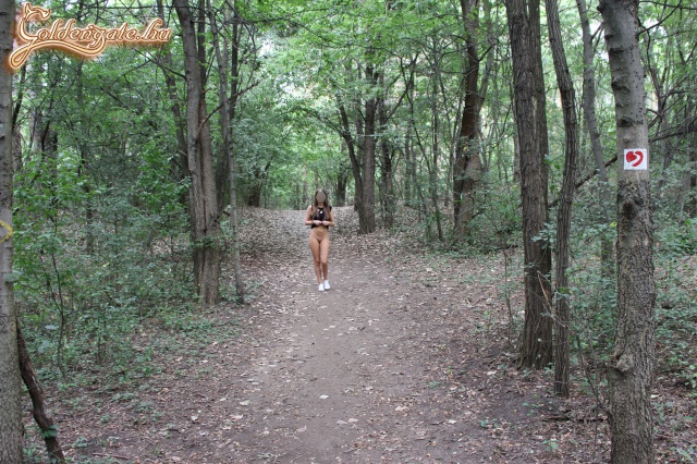 Erdei séta és tornapálya - 20. kép