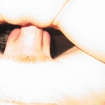 GoldenGate-archív 611. sorozata - 2. kép