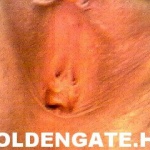 GoldenGate-archív 625. sorozata - 3. kép