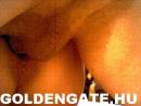 GoldenGate-archív 625. sorozata - 7. kép